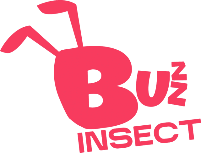 BuzzInsect