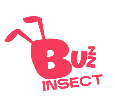 BuzzInsect